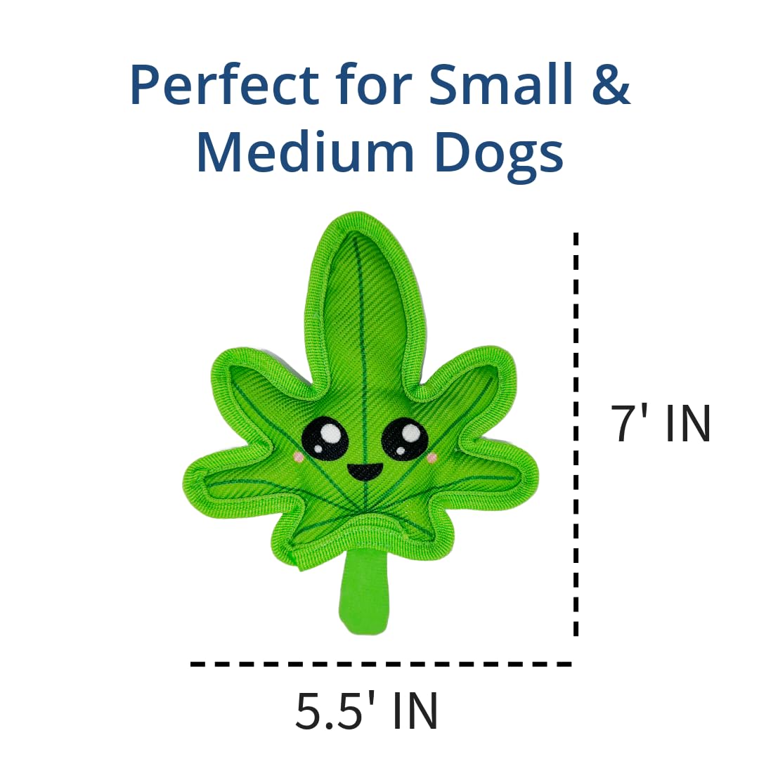 Durable Plush Dog Chew Toy with Squeaker & Crinkle Sound - Fun Interactive Weed-Shaped Puppy Toy for Small & Medium Breed Dogs - Perfect for Indoor Play, Training Rewards, and Anxiety Relief