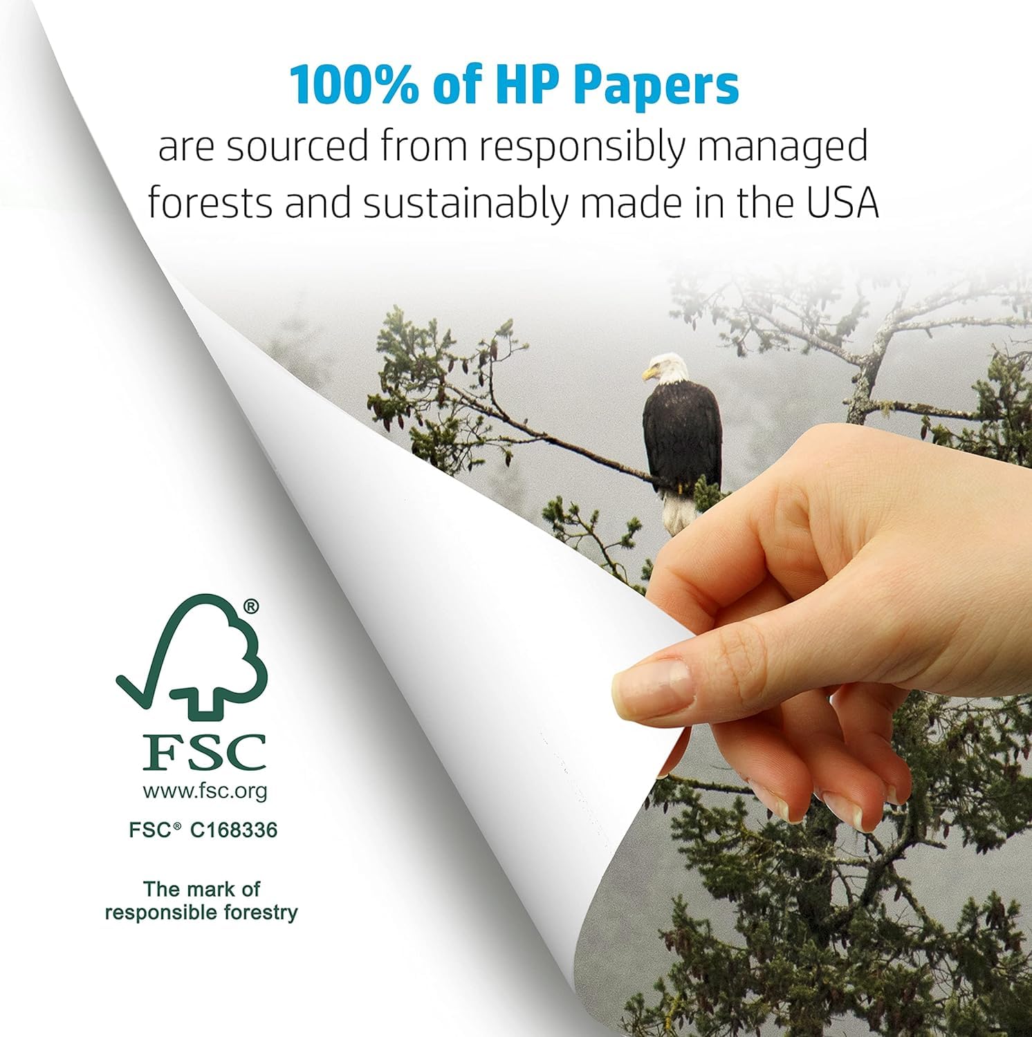 Premium HP Printer Paper 8.5 x 11 Inches - 24 lb Weight, 100 Brightness, 2500 Sheets (5 Ream Case) - FSC Certified, Made in USA | Ideal for Office Documents, School Projects & Professional Printing (Model 115300C)