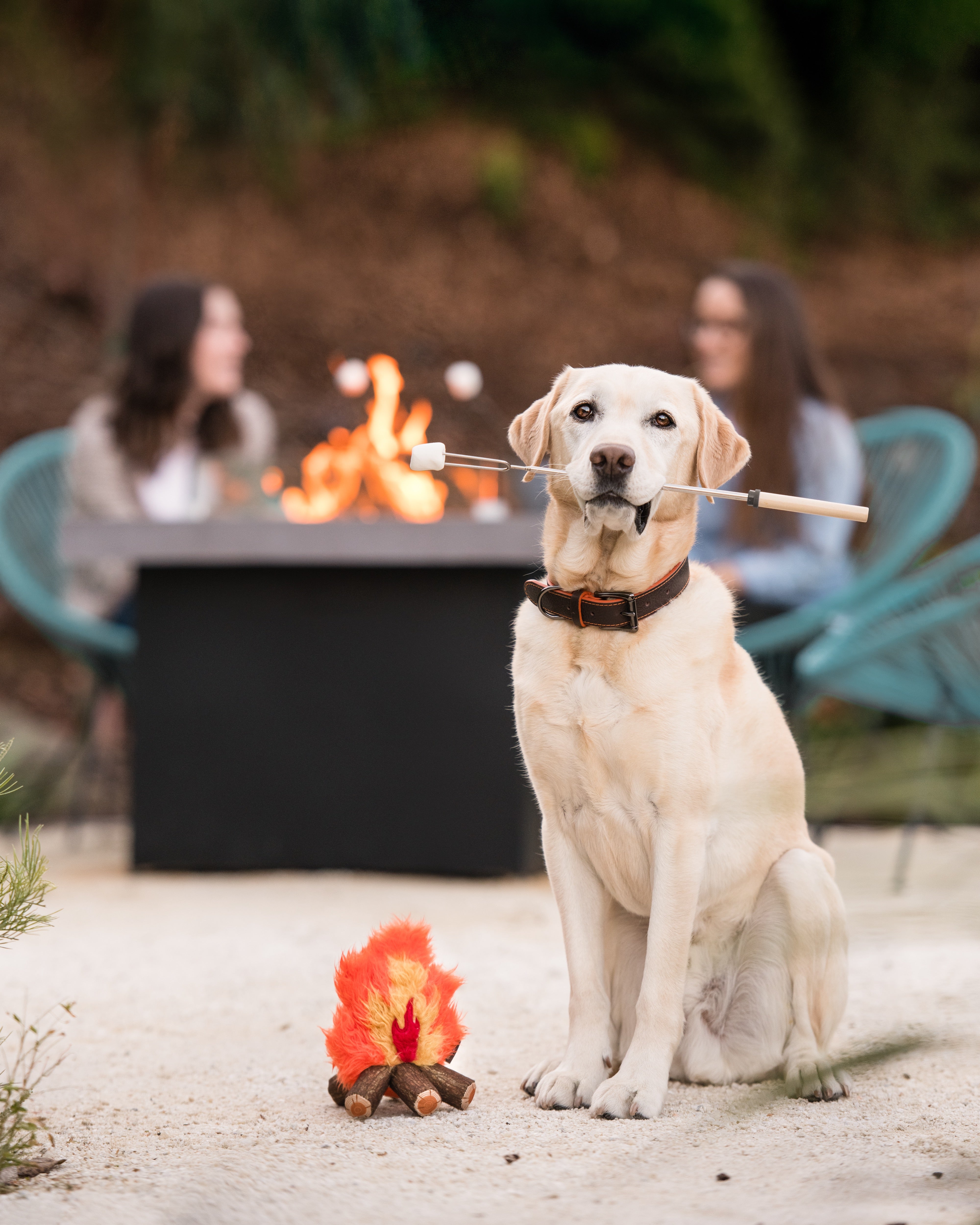 La Fogata Dog Chew Toy - Camp Corbin™ Plush Squeaky Chew Toy for Dogs | Pet P.L.A.Y. | Perfect for Playtime, Training & Outdoor Adventures