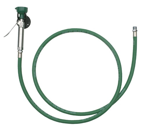 Haws 8901B Wall Mounted Body Spray with 8' Hose - Durable Stainless Steel Shower Spray for Spa, Gym & Home Bathroom Renovation