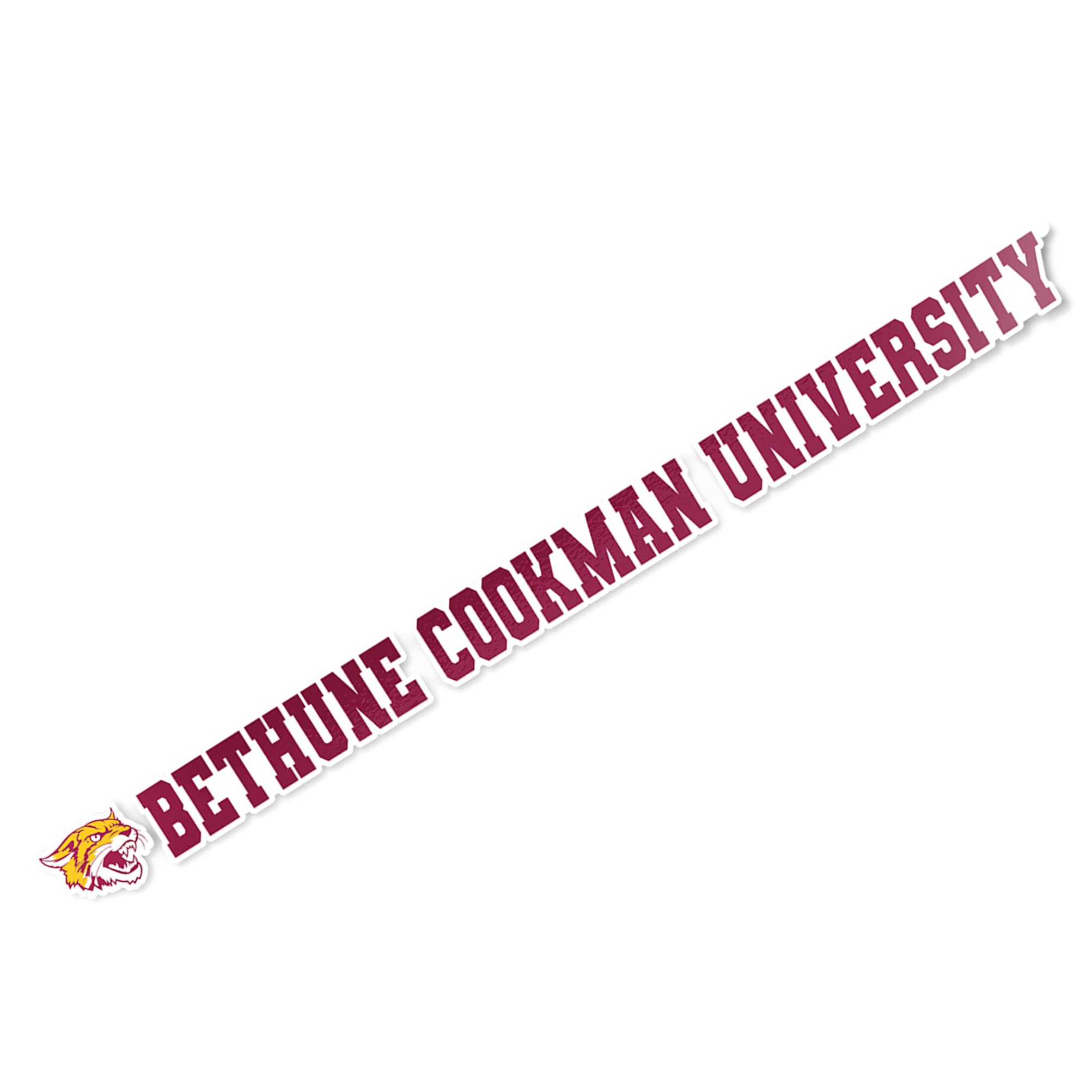 Desert Cactus Bethune-Cookman University Wildcats Logo Vinyl Decal Sticker - 15 Inch Waterproof Laptop, Water Bottle, Car, Scrapbook Decoration for College Fans, Dorm Room, School Spirit Accessories