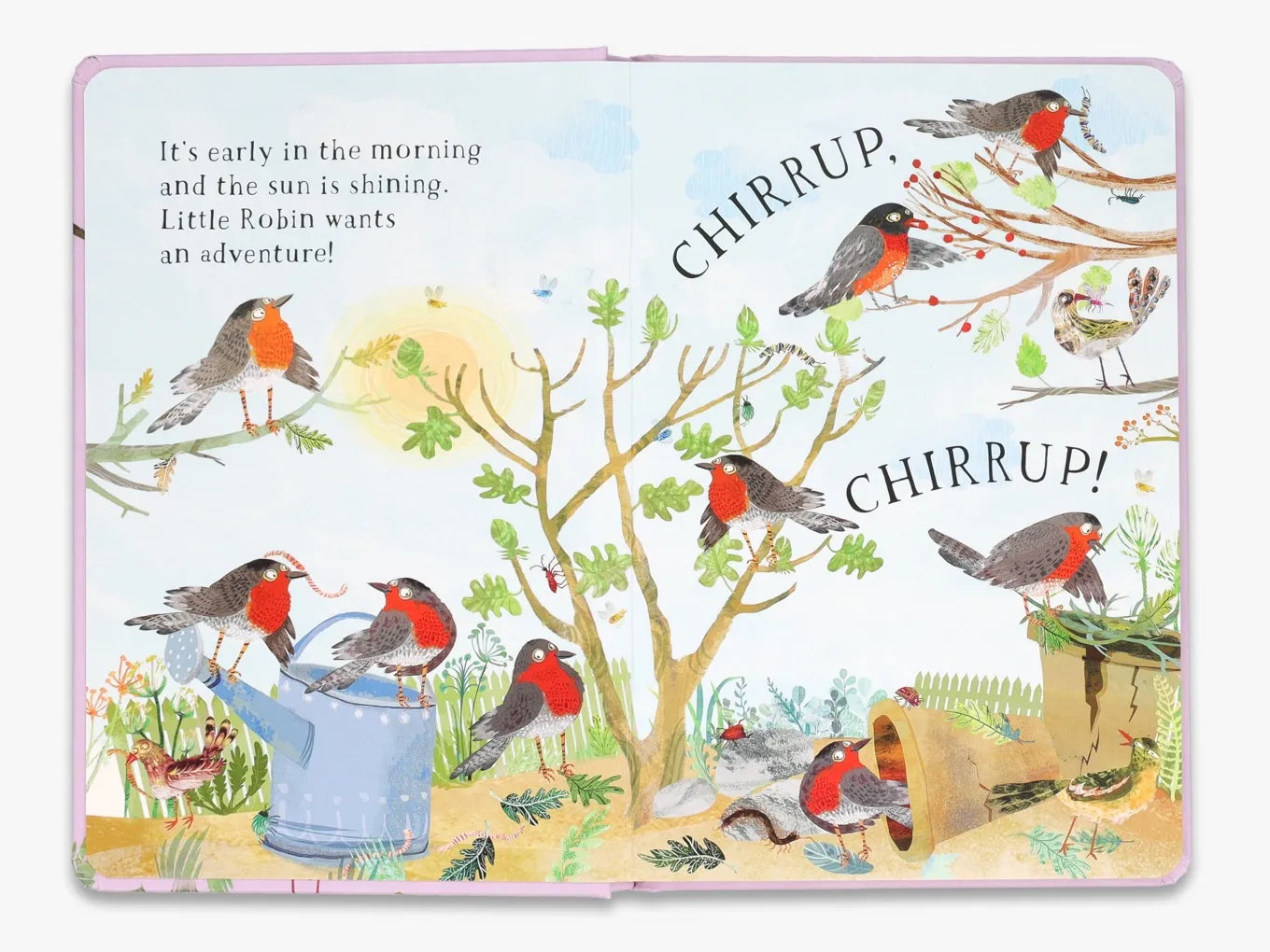 Little Robin's Book of Birds - The Big Book Series | Educational Children's Nature Guide | Perfect for Homeschooling & Classroom Learning