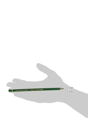 Premium Caran D'ache Pablo Artist Colored Pencil - Emerald Green (666.210) | Professional Drawing, Sketching & Coloring for Artists, Students & Hobbyists