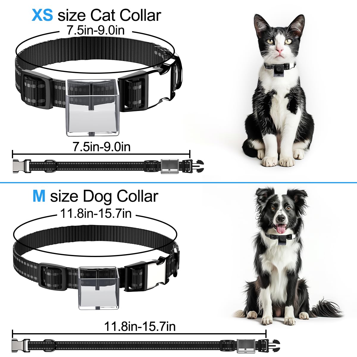 Wireless Cat Collar Camera with Video Recording - No WiFi Needed for Outdoor Pets