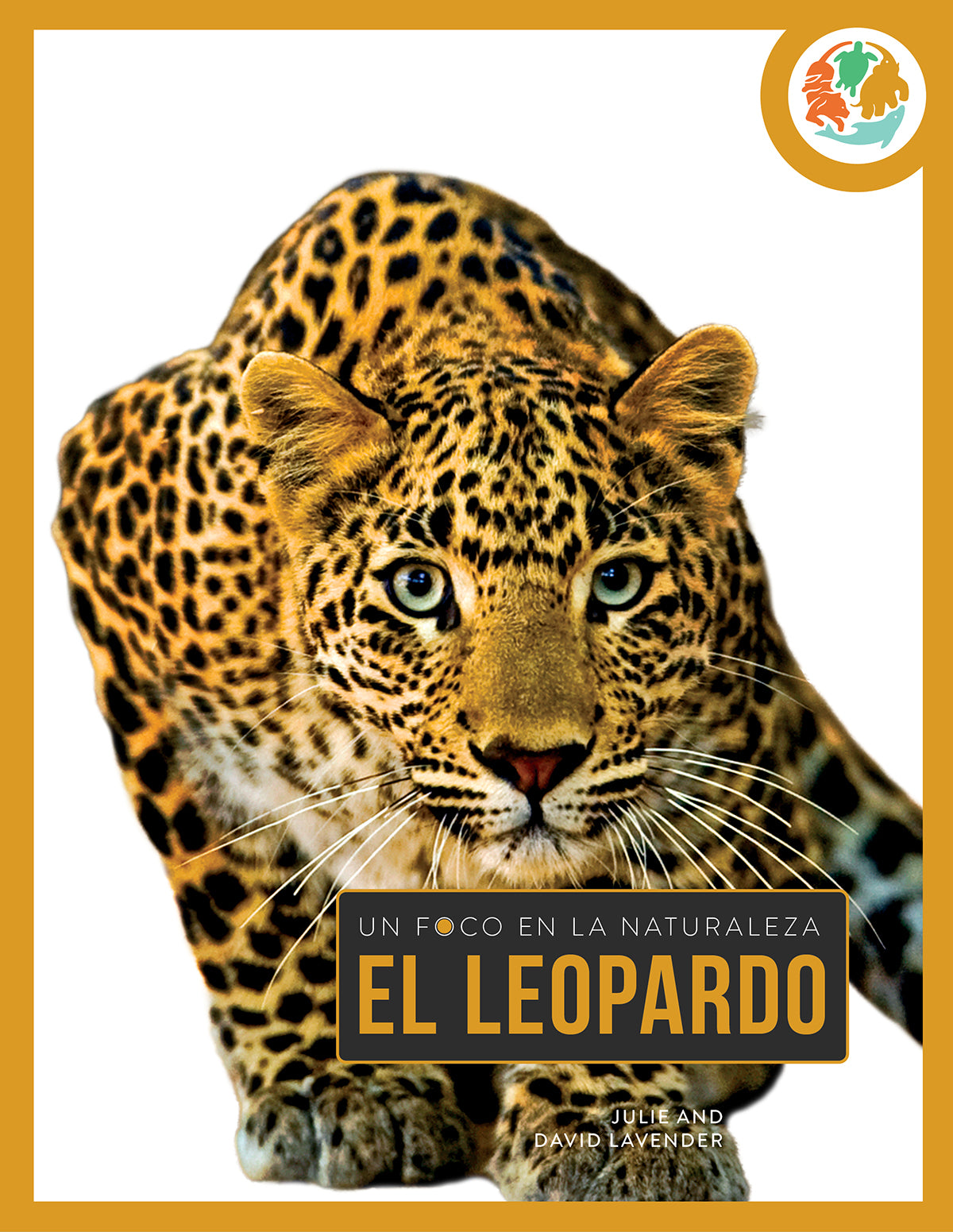 El Leopardo 9798889894704 - Premium Fashion Accessory for Women | Perfect for Parties, Weddings & Special Occasions