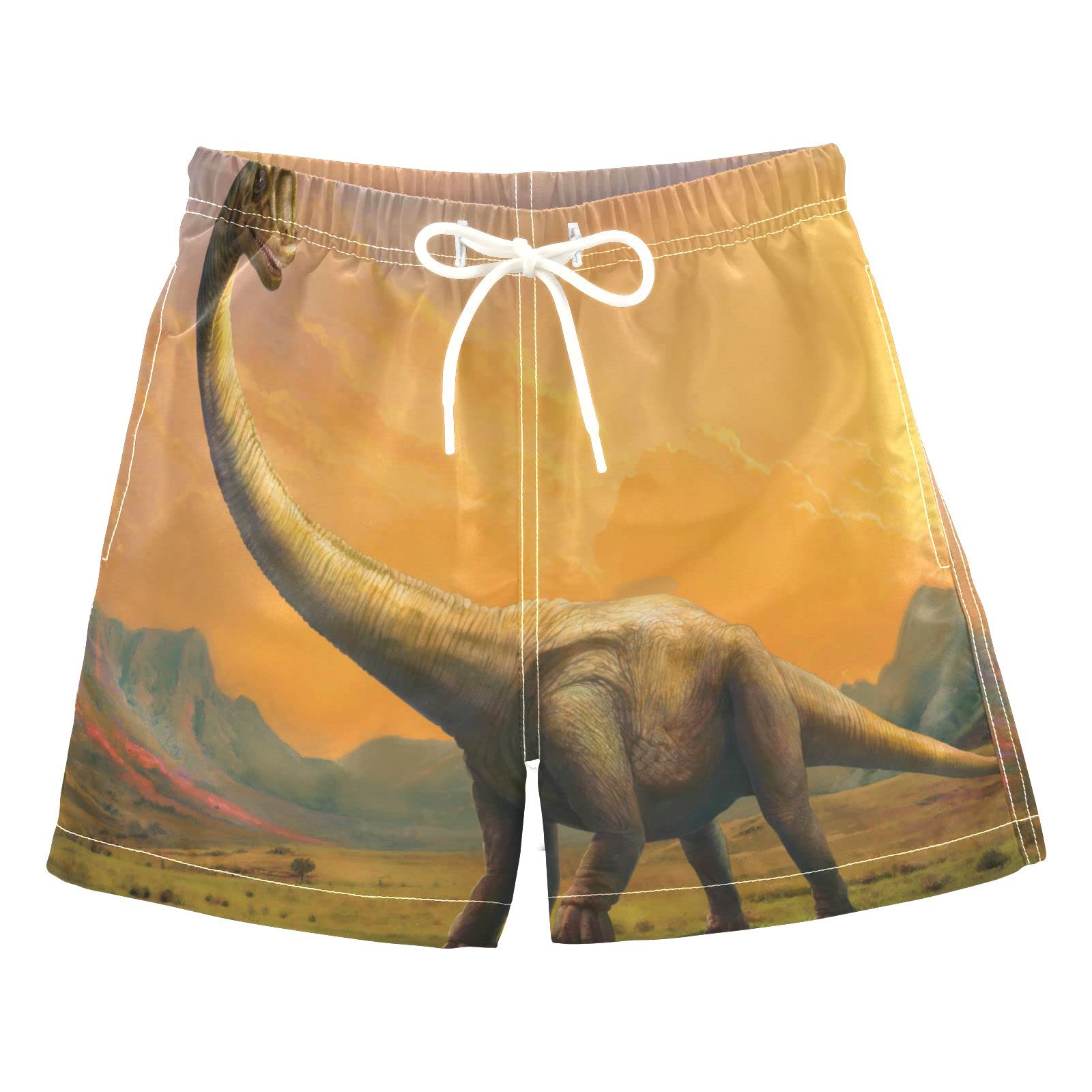 **AMICHIC Boys Dinosaur Swim Trunks - Quick-Dry Swim Board Shorts for Toddler, Kids & Teens (2T-8) - Perfect for Pool, Beach & Summer Water Play**