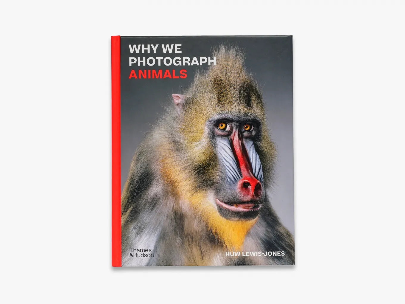 Why We Photograph Animals - Exploring the Beauty of Wildlife Photography for Nature Lovers and Conservationists | Perfect for Wall Art, Gifts, and Educational Purposes