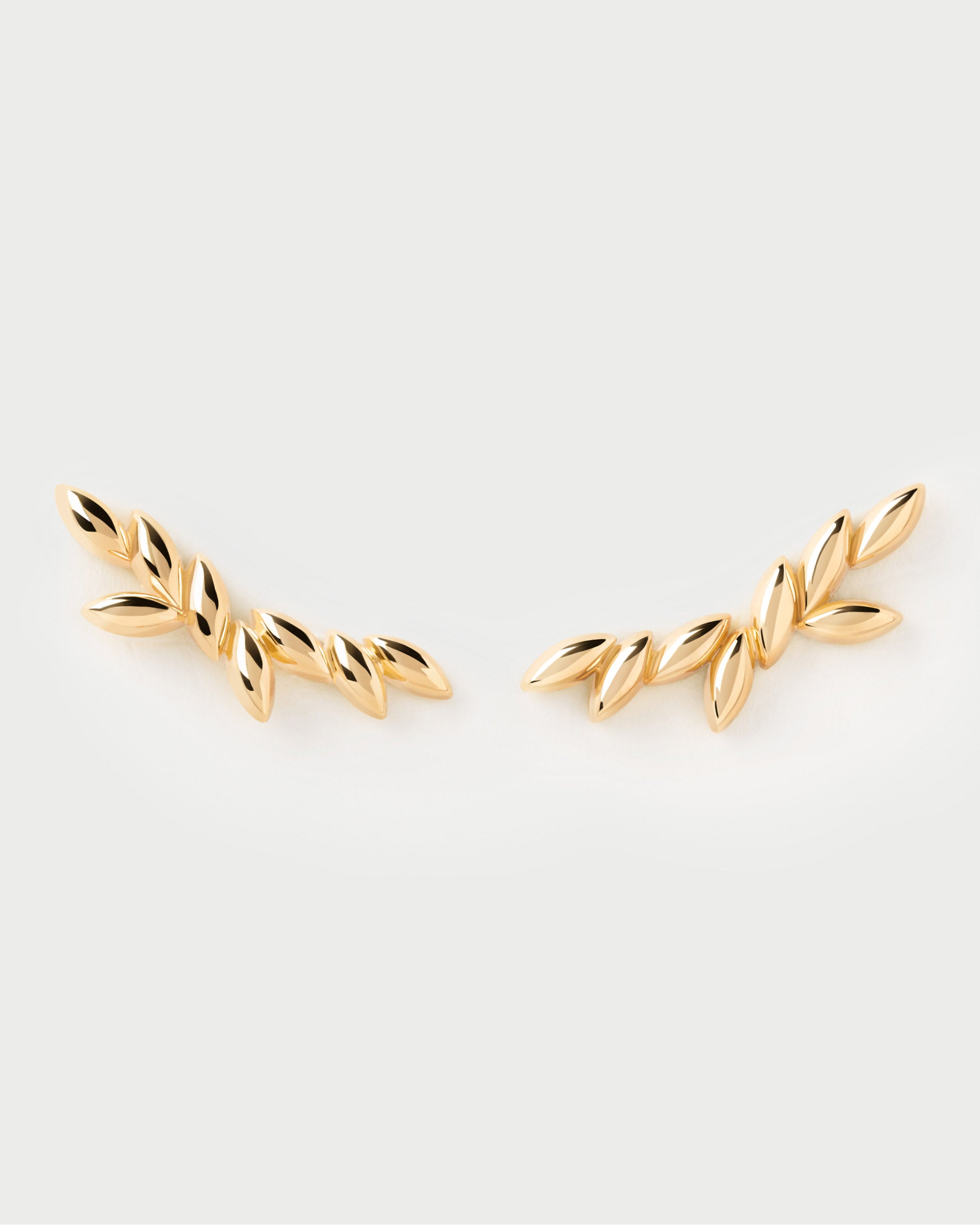 Elegant Eva Climbing Earrings for Women - Hypoallergenic Stainless Steel Dangle Earrings for Daily Wear, Parties & Special Occasions