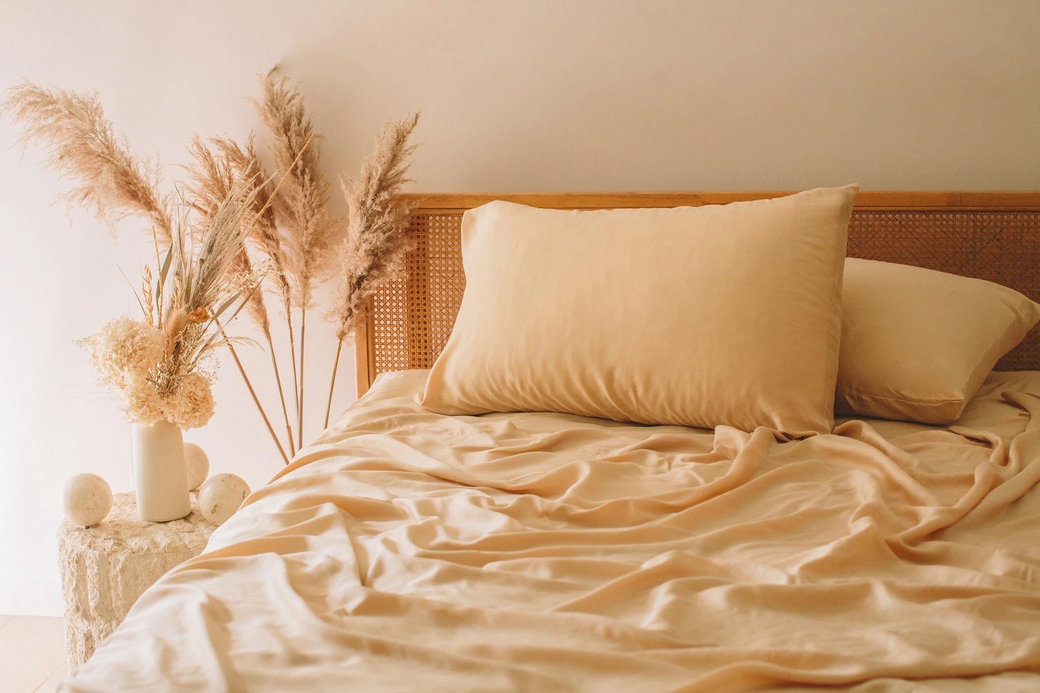 Nest Bedding Tencel™ Sheet Set with Pillowcases - Queen Size, Biscotti Color - Cooling, Breathable & Hypoallergenic Bed Sheets for Comfortable Sleep - Perfect for Hot Sleepers & Allergy Sufferers