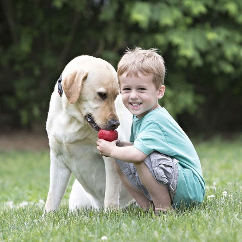 Kong Classic Dog Toy - Durable Chew Toy for Small, Medium & Large Dogs - Perfect for Playtime, Training & Treat Dispensing - Great for Indoor & Outdoor Use