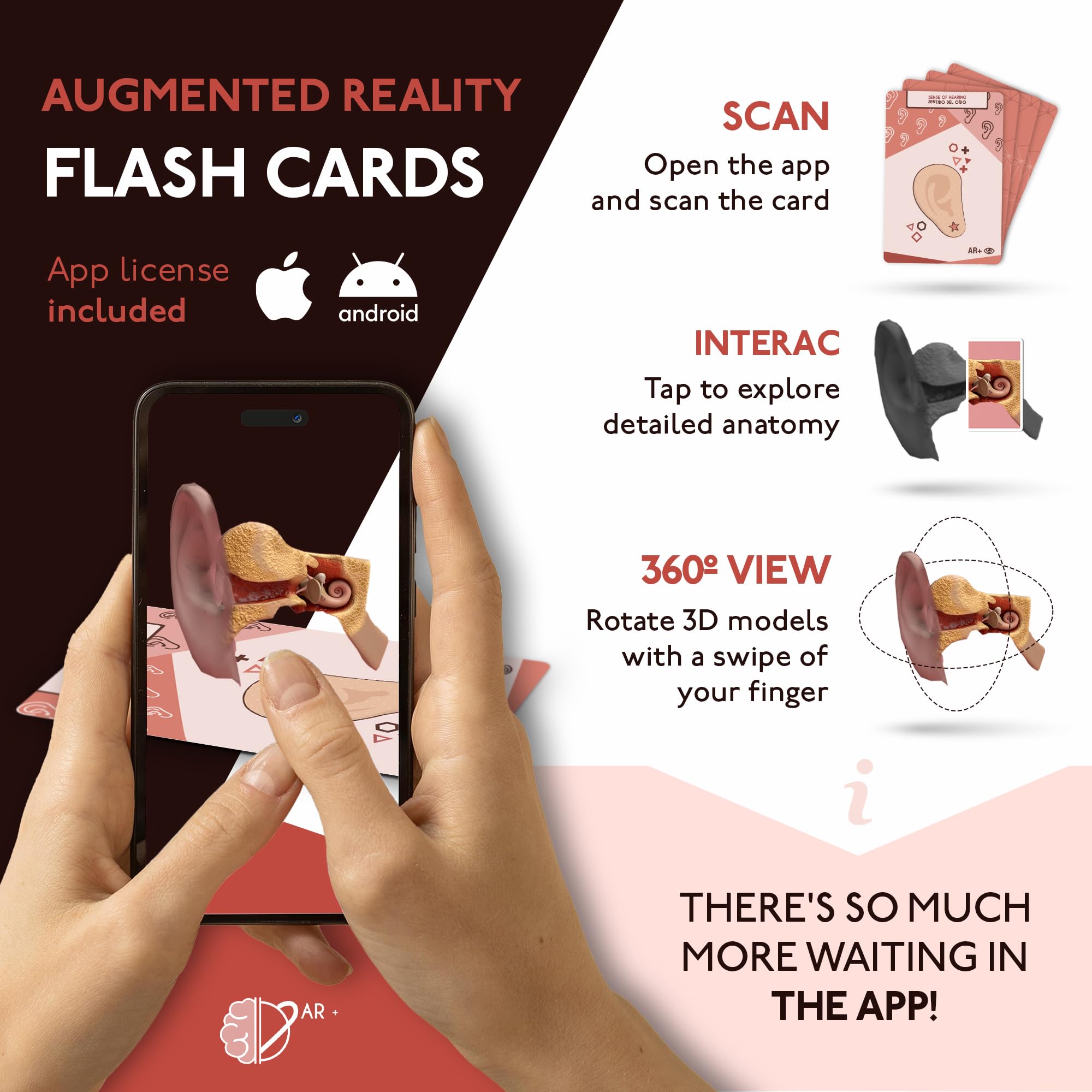 AR+ Body Planet: Human Body Anatomy Cards with Augmented Reality - Interactive Learning Tool for Kids, Students & Medical Education