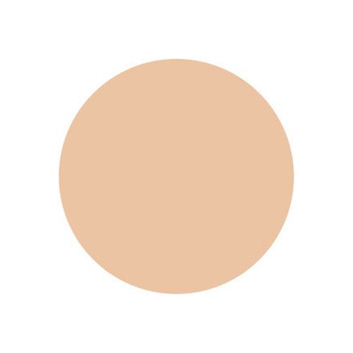 Naturactor Summer Cake Sweat Proof Water Based Foundation 16g - Long Lasting Oil Control Makeup for Hot Weather, Perfect for Outdoor Activities and Summer Events