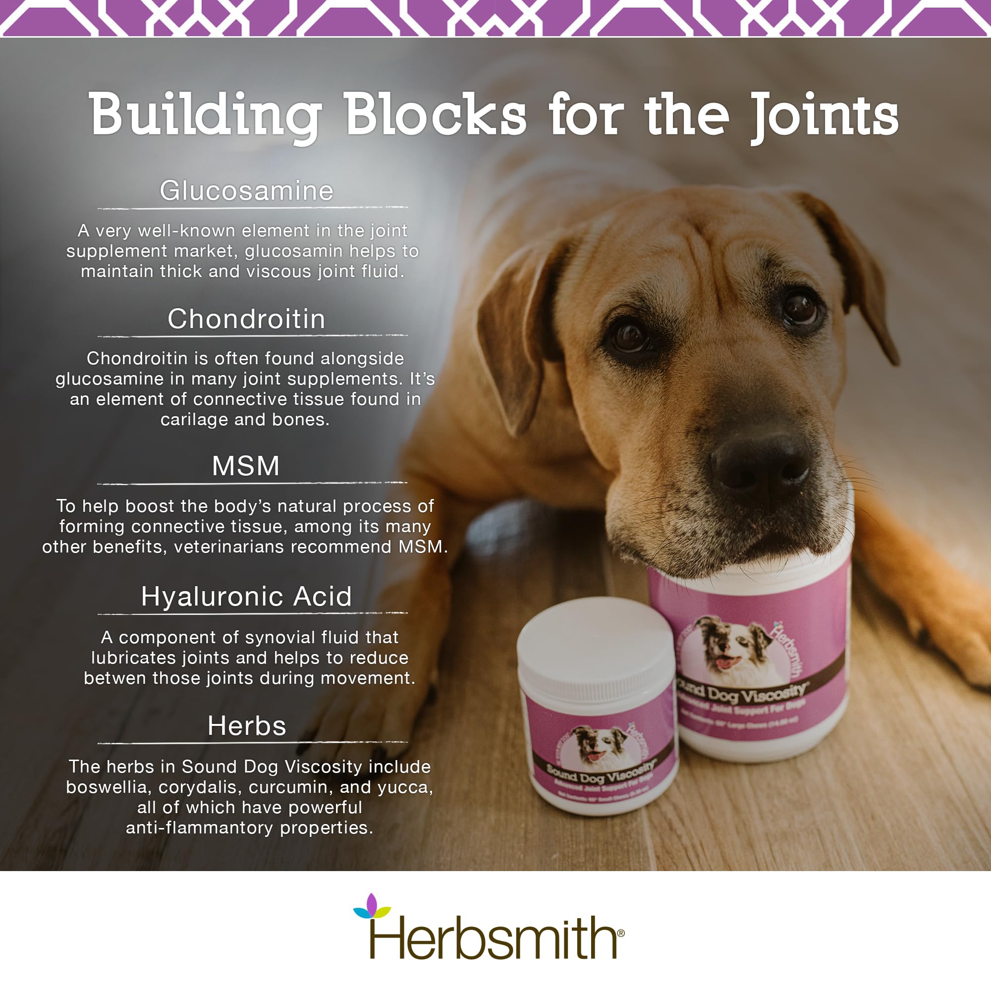 Herbsmith Sound Dog Viscosity - Advanced Joint Support Chews for Dogs with Glucosamine, Chondroitin & MSM - Vet Recommended Supplement for Hip & Joint Pain Relief - 120 Large Soft Chews for Senior Dogs & Active Pets - Perfect for Daily Mobility Support & Arthritis Care