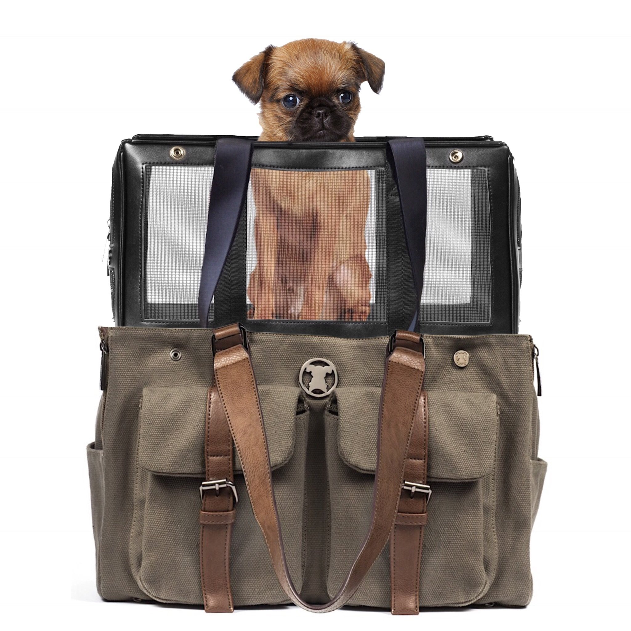 Green Canvas Airline Approved Pet Carrier Combo with Pockets - Interchangeable Base & Tote Shell for Small Dogs | Perfect for Travel, Weekend Getaways & Daily Use
