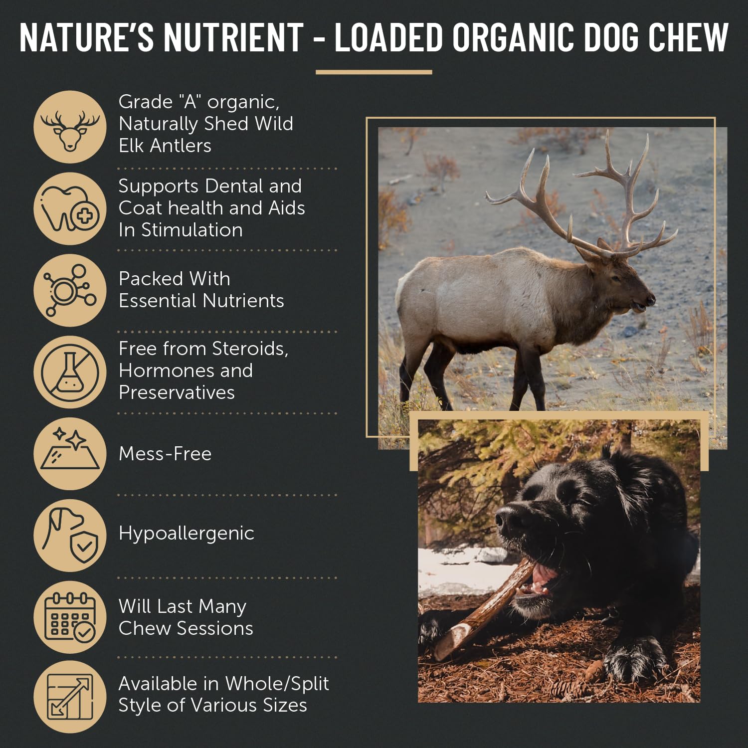Premium Elk Antler Dog Chews for Large & Medium Dogs - Natural Long-Lasting Dental Treats (1 LB Box, 4 Whole Pieces) - Perfect for Aggressive Chewers & Teething Puppies