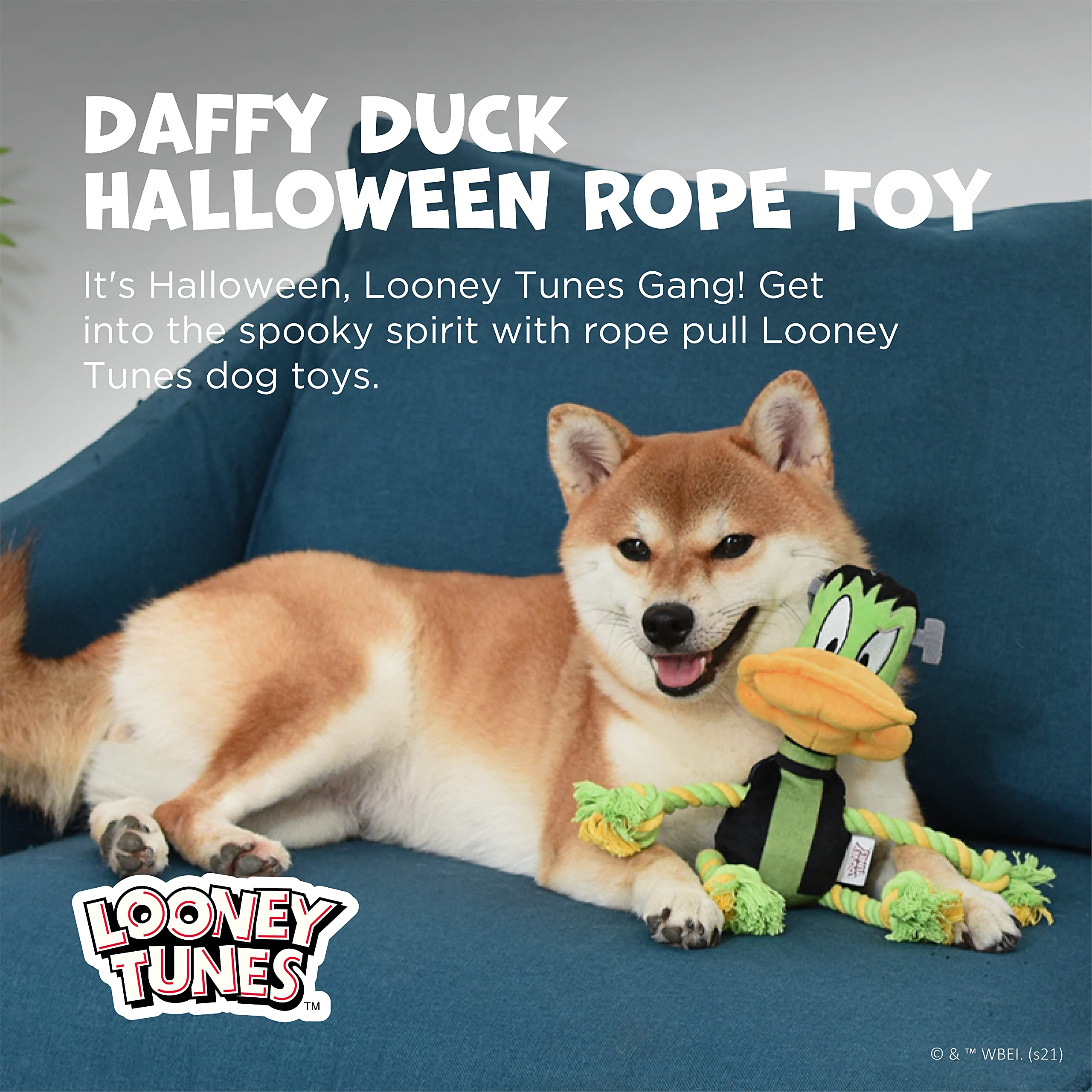 Looney Tunes Daffy Duck Plush Frankenstein Halloween Rope Pull Dog Toy - 9 Inch Squeaky Chew Toy for Small & Medium Dogs | Interactive Play, Training Reward & Halloween Pet Costume Accessory (FF16975)