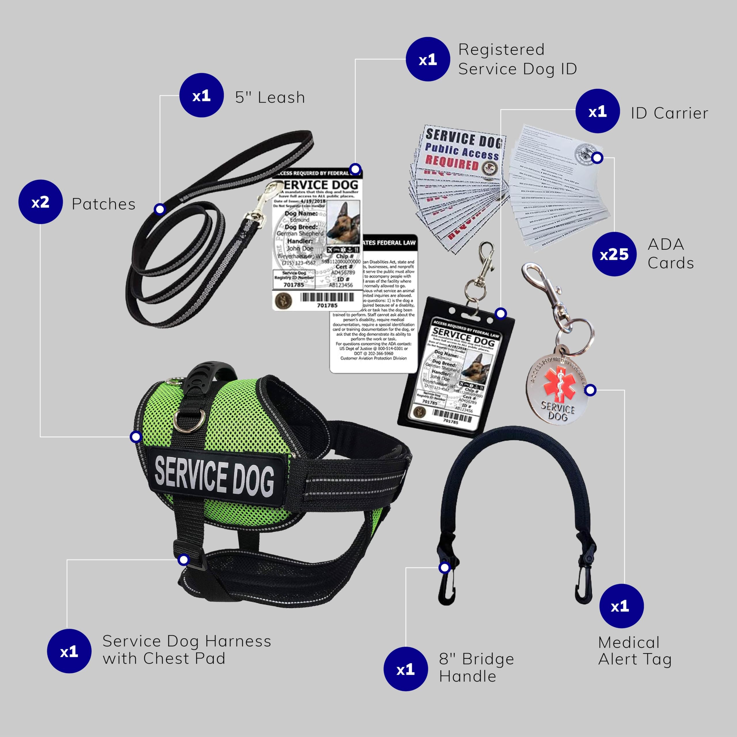 ActiveDogs Full Service Dog Kit - XS Lime - Service Dog Vest Harness with Handle, ID Holder, ADA Cards, Medical Alert Keychain & Leash - Perfect for Training, Therapy & Public Access Assistance