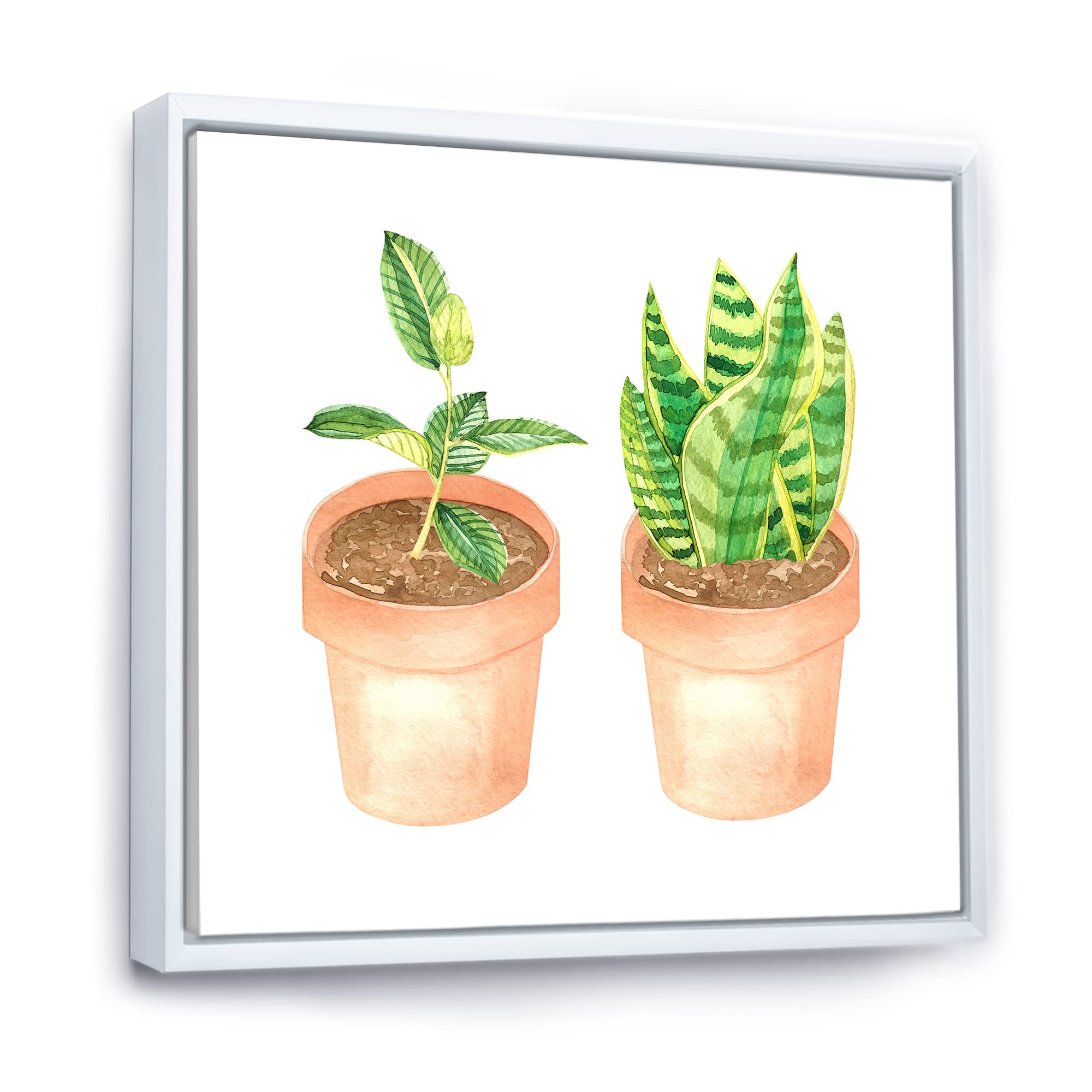 DesignQ Sansevieria & Ficus Indoor Plants - Traditional Framed Canvas Wall Art Print for Home Decor | Perfect for Living Room, Bedroom & Office