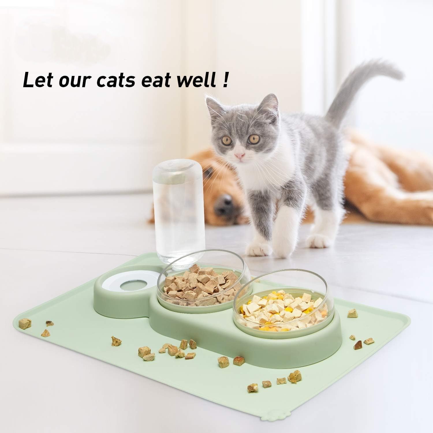Raised Cat Bowls Set - 2 Food & 1 Water Feeder for Cats & Small Dogs (Green) - Perfect for Home & Travel Use