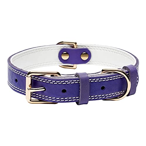 Dual Stitch - Purple
