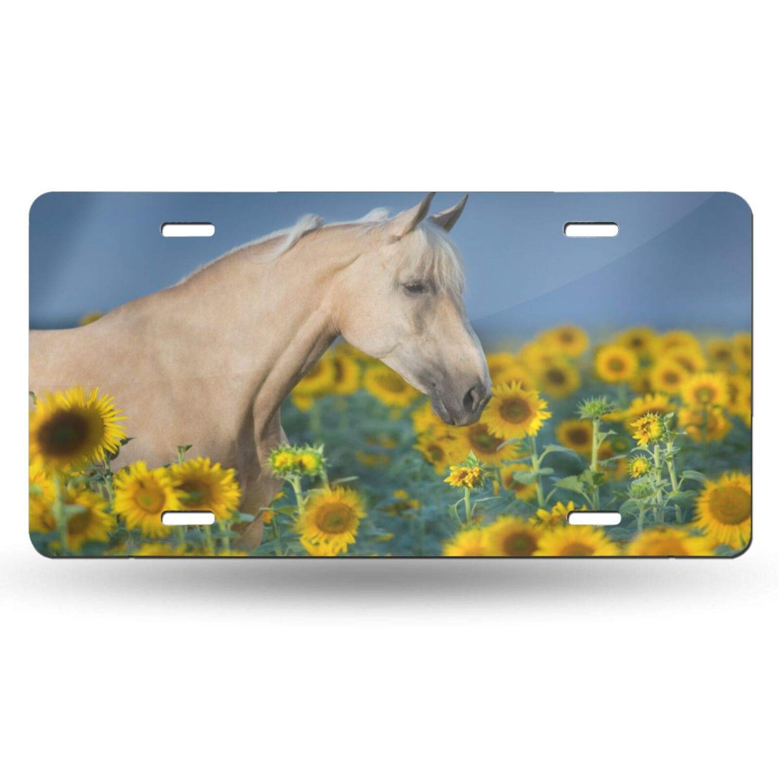 Delerain Horse Design Decorative Car Front License Plate - Novelty Aluminum Vanity Tag for Men, Women, Boys & Girls - 6x12 Inch - Perfect for Cars, Trucks, Motorcycles & RV Customization