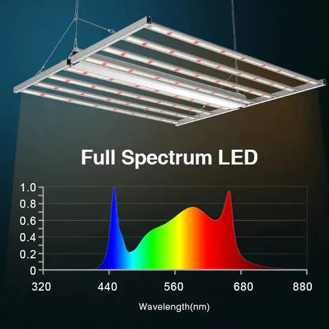 Medic Grow EZ 8 1000W Full Spectrum LED Grow Light for Indoor Plants - Hydroponic Greenhouse & Home Gardening Lighting Solution