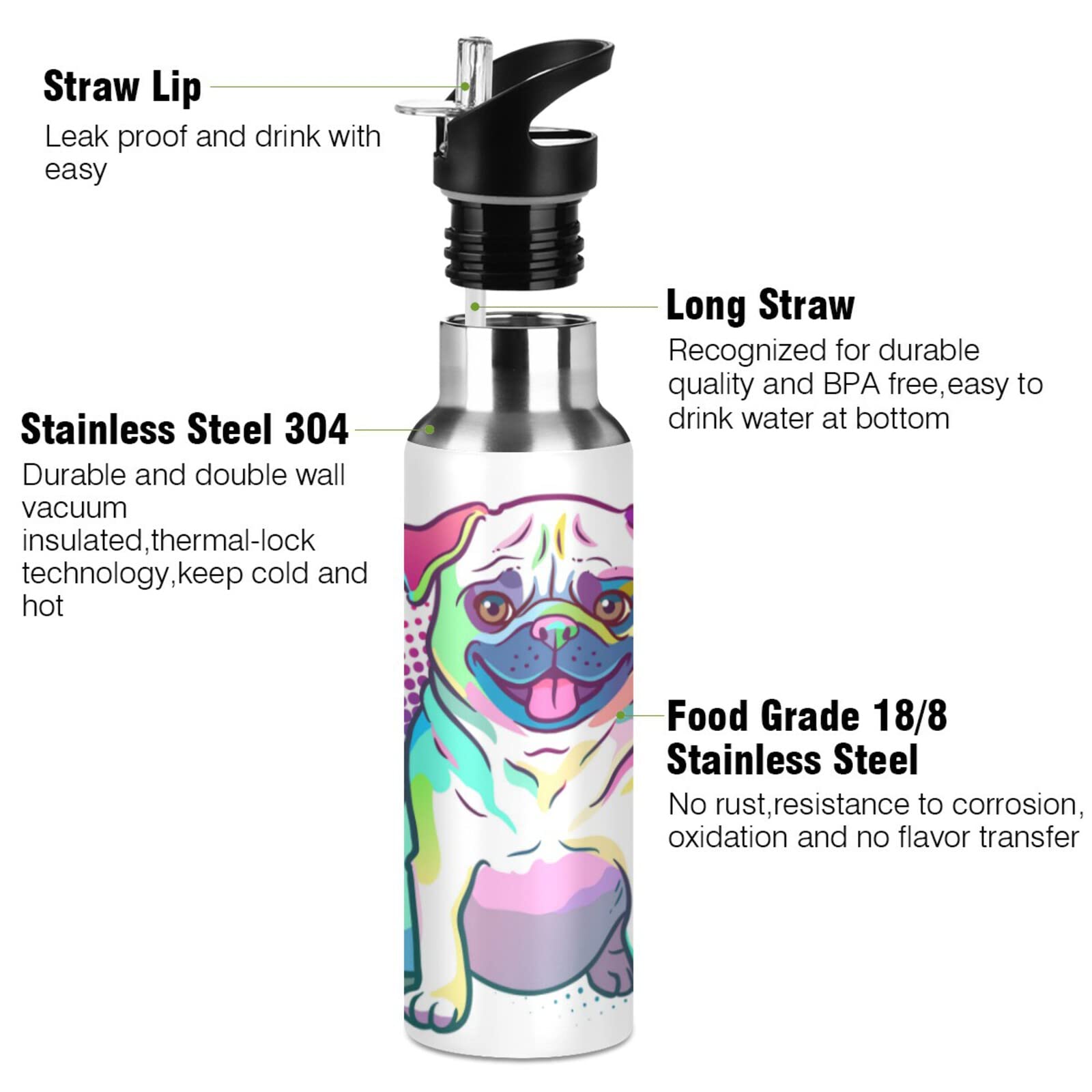 Rainbow Pug Dog Water Bottle - 20oz Stainless Steel Vacuum Insulated with Straw Lid, Cute Polka Dot Animal Design - Perfect for School, Gym, Hiking & Outdoor Activities