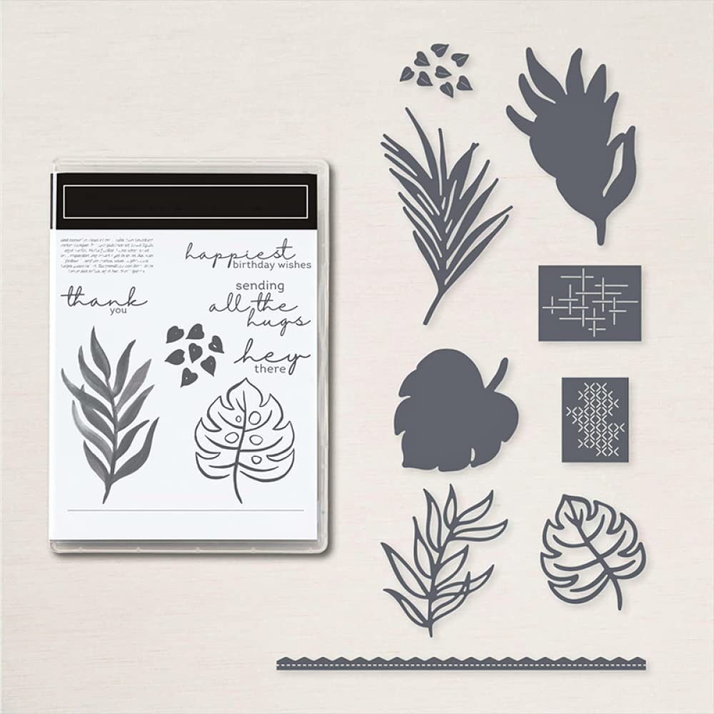 Maple Leaves Metal Cutting Dies & Stamps Set for DIY Card Making, Scrapbooking - Thank You Words, Alphabets, Transparent Silicone Seal Stamps - Perfect for Paper Crafts, Arts & Crafts Supplies (Great for Greeting Cards, Invitations, Journals & Home Decor Projects)