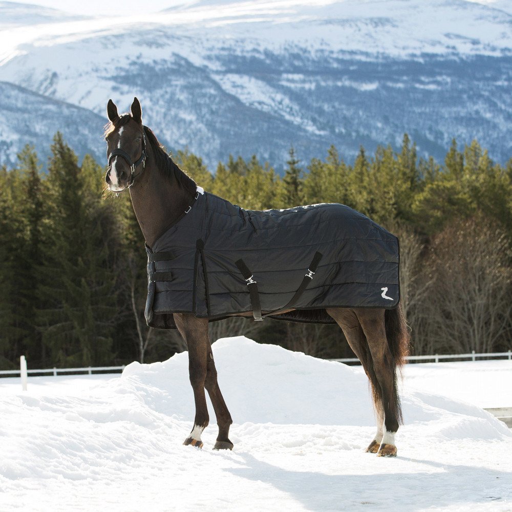 HORZE Nevada Lightweight 100g Stable Blanket for Horses - Perfect for Cool Weather Riding and Stable Use