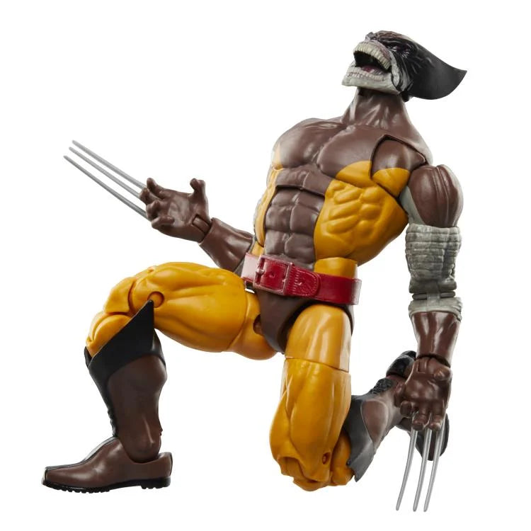 Marvel Legends Wolverine & Lilandra Neramani 2-Pack - 50th Anniversary Edition - Action Figures for Collectors & Marvel Fans - Perfect for Display & Comic Book Scenes