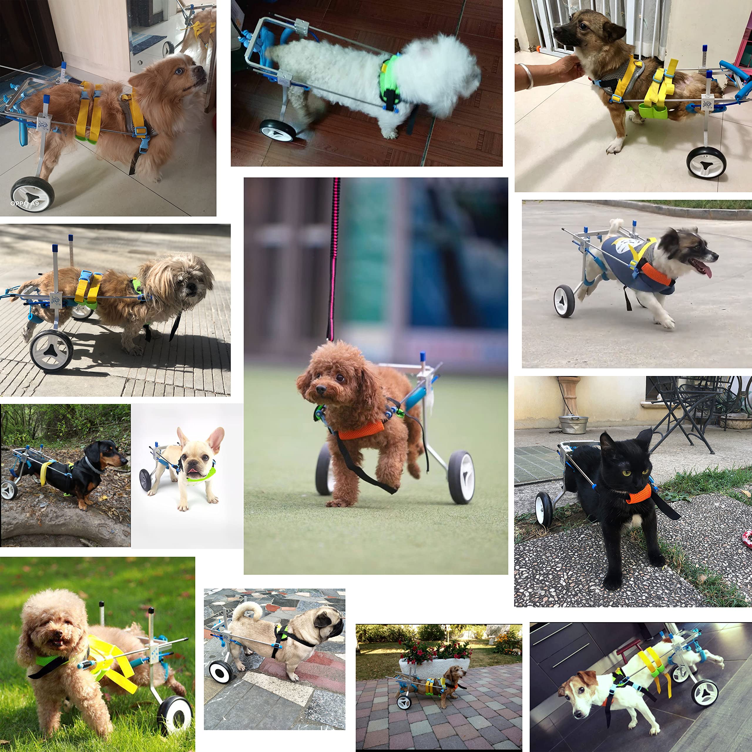 Adjustable Large Dog Wheelchair for Back Legs - Lightweight & Durable Pet Mobility Aid (7 Sizes, Size L) - Ideal for Senior Dogs, Disabled Pets & Post-Surgery Recovery