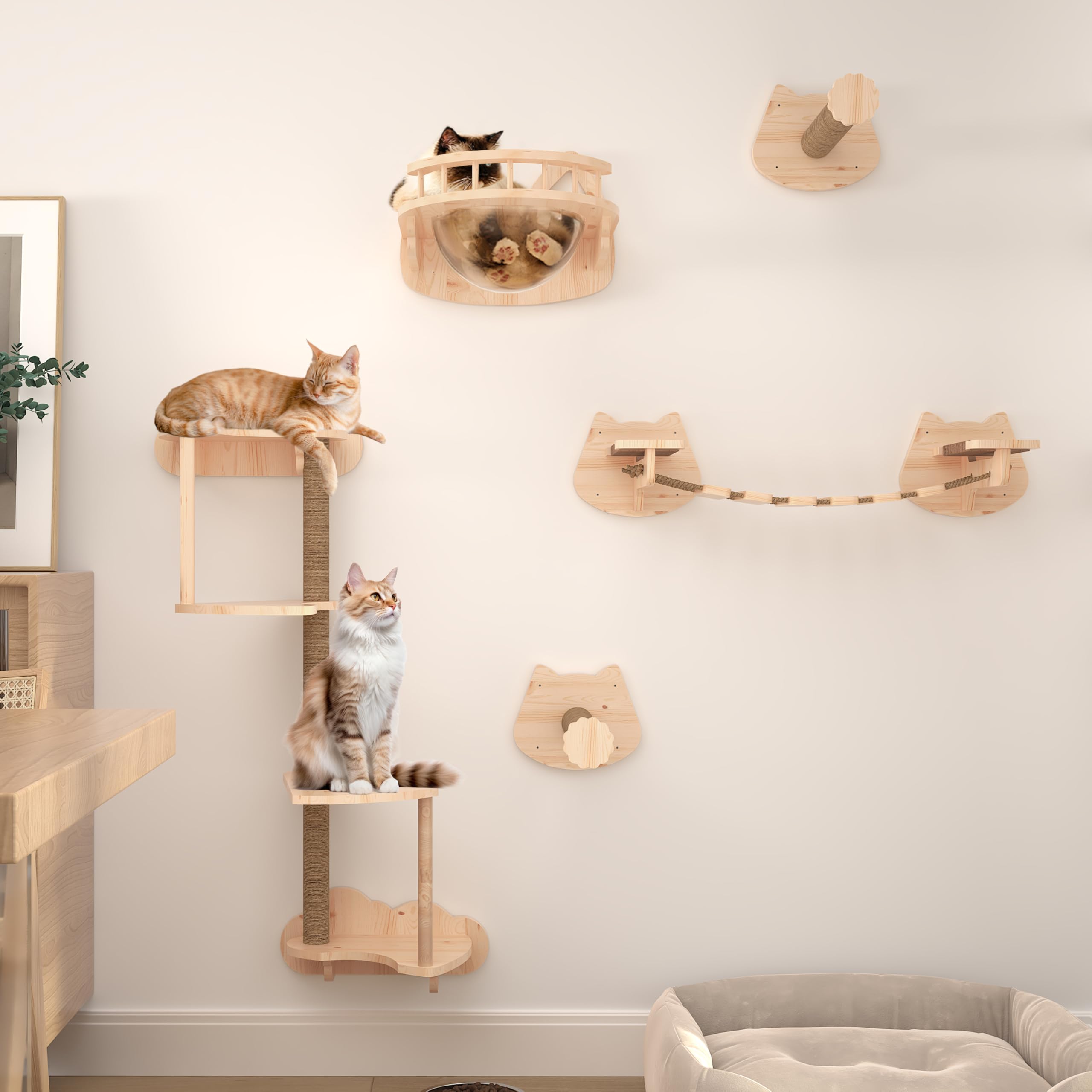13-Piece Transparent Cat Wall Furniture Set - 4-Tier Scratching Post, 2 Sisal Scratching Steps, Wall-Mounted Bed & Bridge for Cats up to 33 lbs | Space-Saving Cat Climbing Shelves for Indoor Play & Relaxation