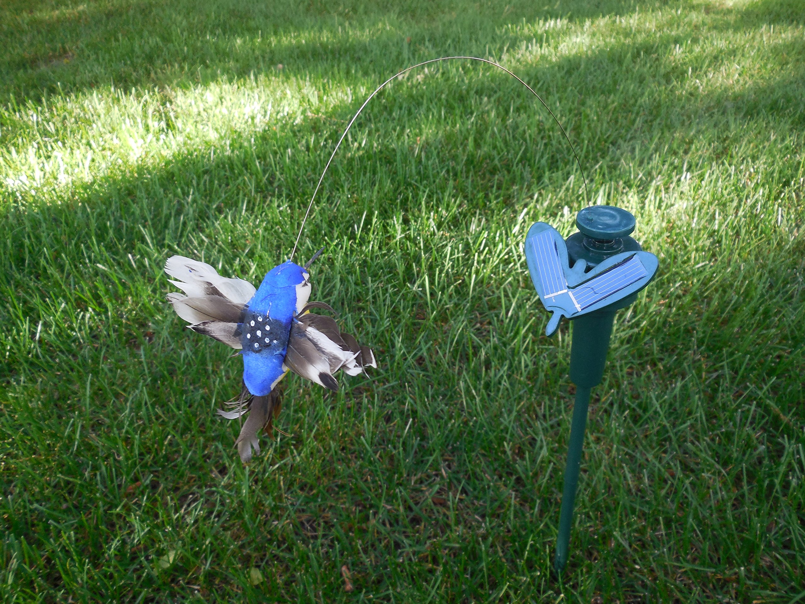 Solar Powered Fluttering Hummingbird Decor - Dual Power (Solar/Battery) for Indoor & Outdoor Use - Perfect for Garden, Patio, Balcony and Home Decoration
