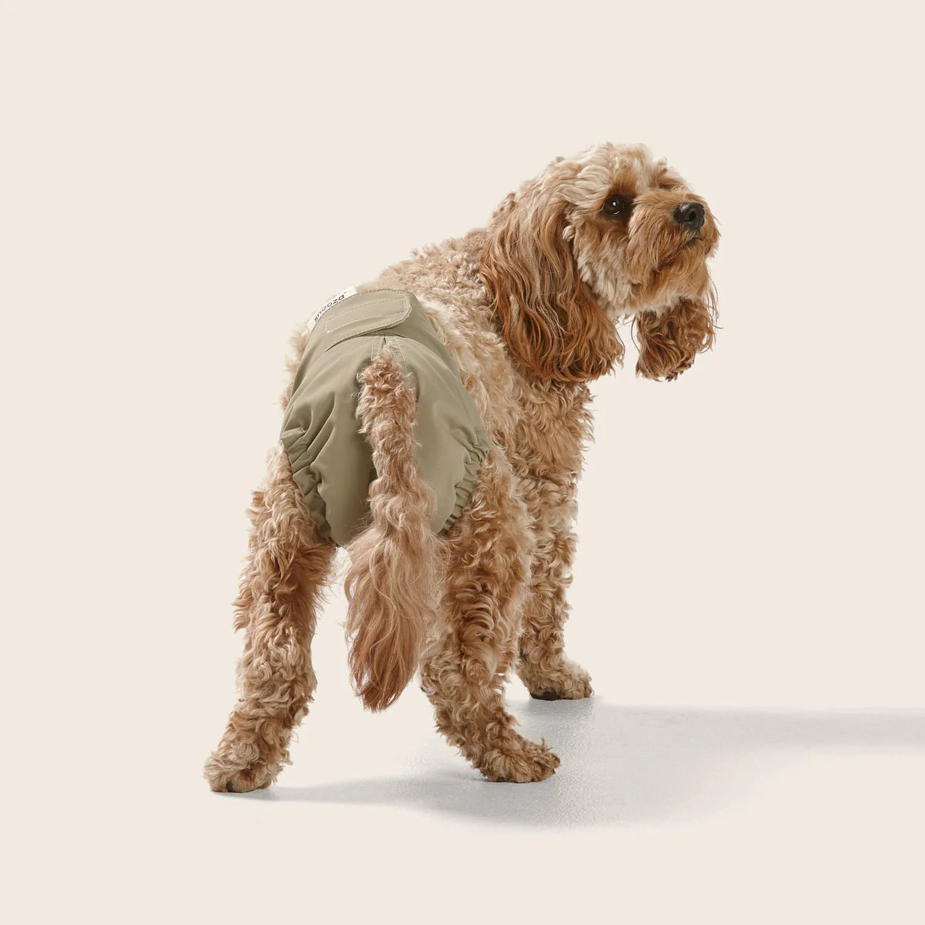 Washable Female Dog Diapers - Reusable Twin Pack for Incontinence & Heat, Perfect for Indoor Use & Travel