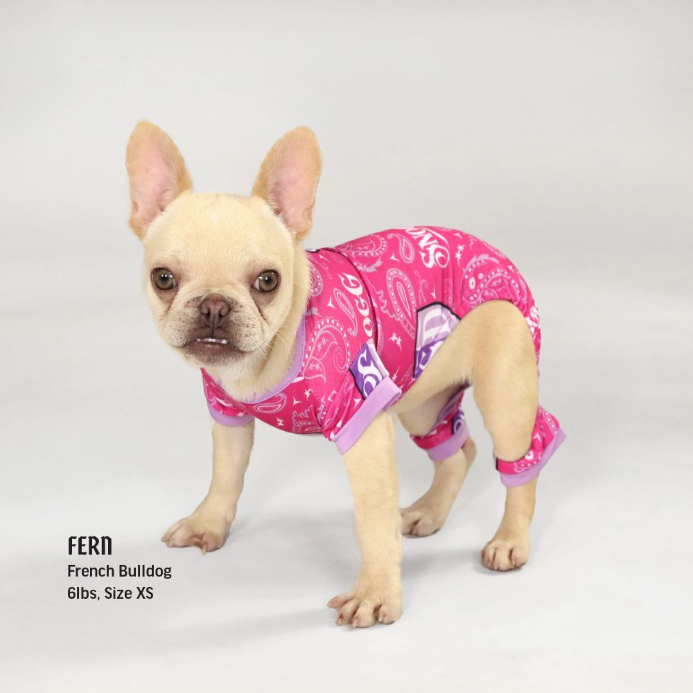 Premium Dog Pajamas for Small & Medium Breeds - Soft & Comfortable Sleepwear for Pets - Perfect for Indoor Lounging & Photo Shoots