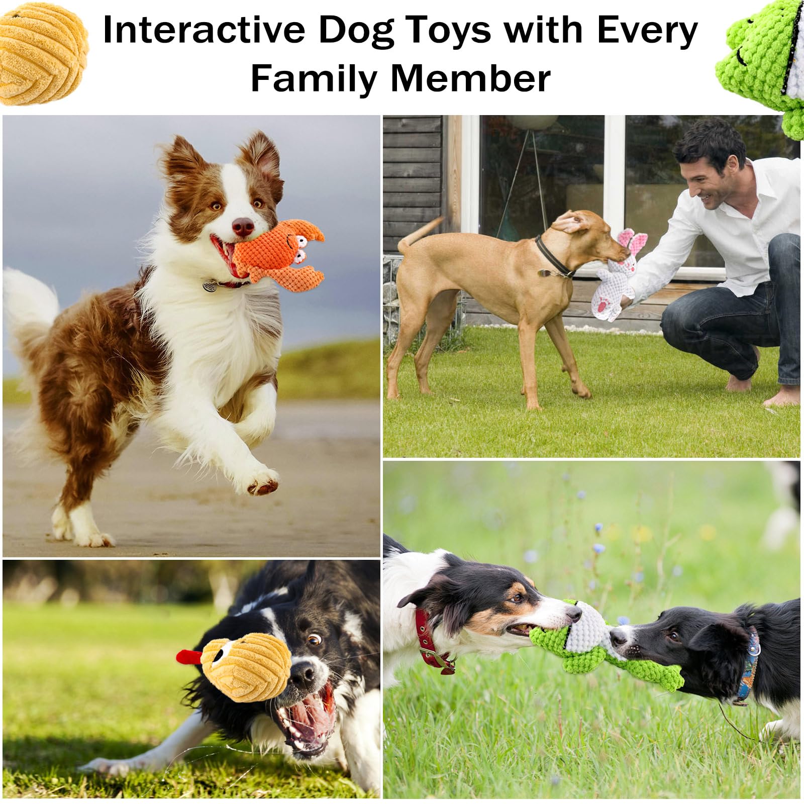 4 Pack Squeaky Dog Toys - Soft Plush Chew Toys for Puppies & Small to Medium Dogs - Interactive Teething Relief & Playtime Fun - Perfect for Indoor, Outdoor & Training Use