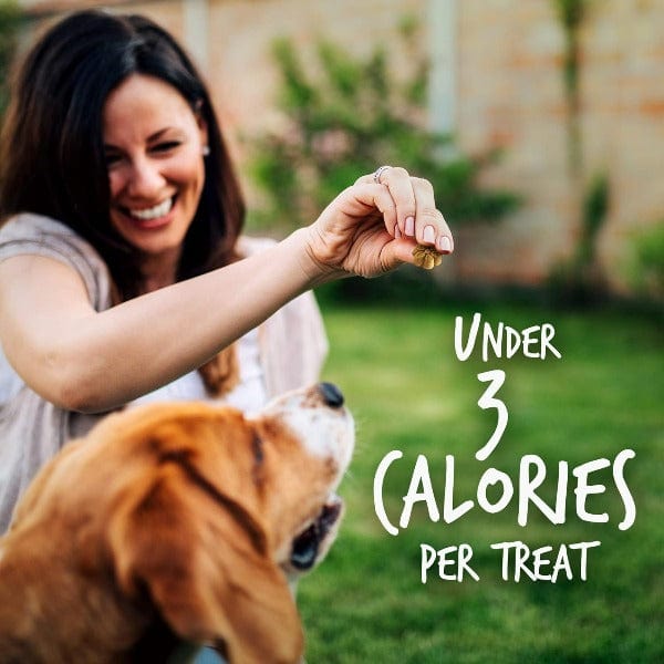 Fruitables Skinny Minis Grilled Bison Flavor Dog Treats - Healthy Low-Calorie Training Snacks for Small & Medium Dogs - Perfect for Reward, Training & On-the-Go Treats