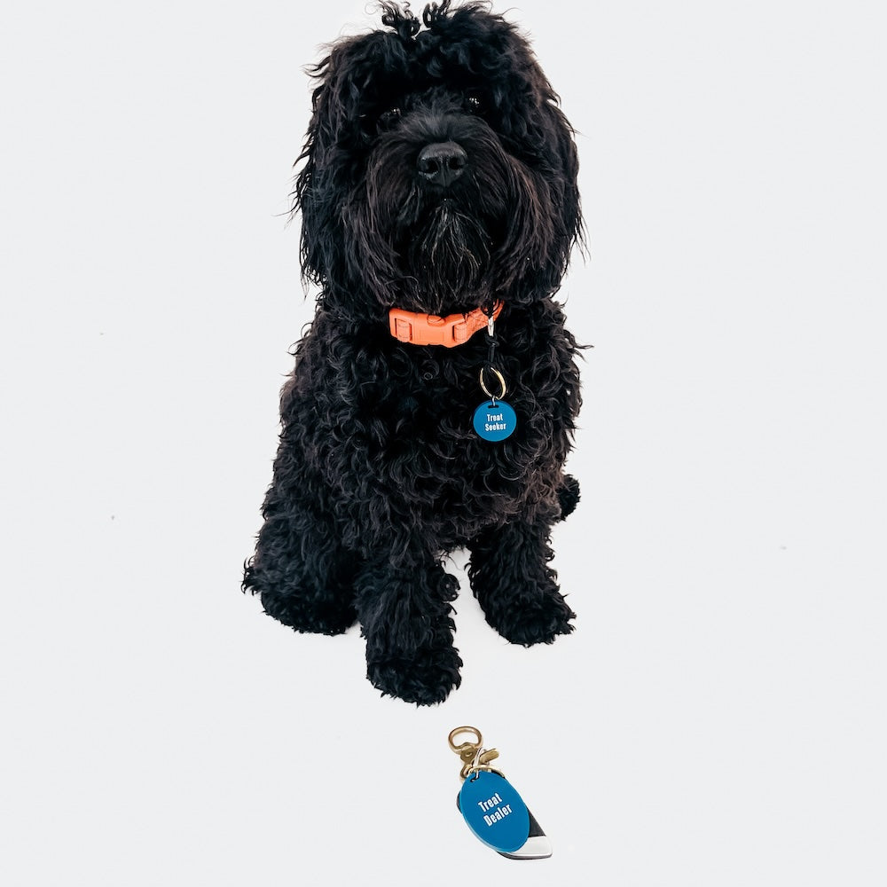 Gus & Co Personalized Dog Tag and Keychain Set - Engraved Pet ID & Key Ring for Dogs, Cats - Perfect for Pet Safety, Gifts, and Everyday Use