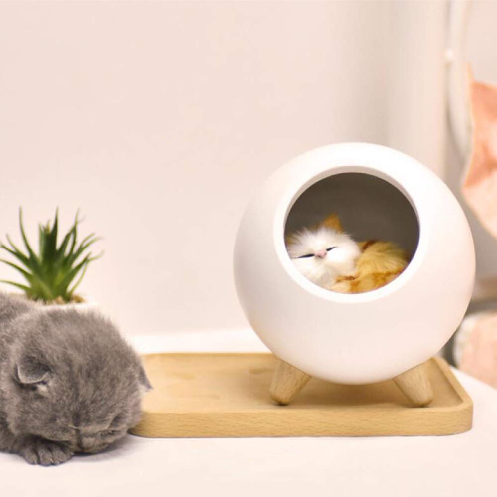 Cute Cat Night Light for Kids - USB Rechargeable Touch Control LED Table Lamp for Bedroom, Nursery, Pet House - White | Perfect for Kids' Rooms, Baby Nurseries & Pet Houses