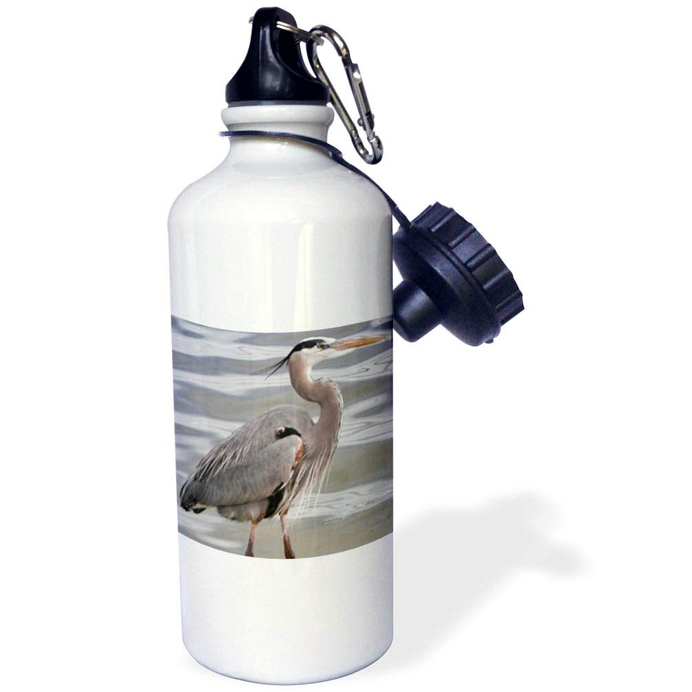 3Drose Great Blue Heron Sports Water Bottle - 21oz Insulated Stainless Steel White - Perfect for Gym, Hiking & Outdoor Activities