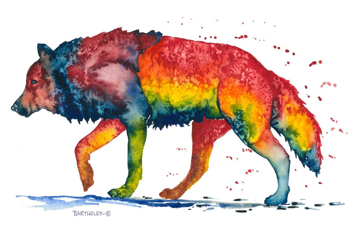 Rainbow Wolf Watercolor Art Print - 24x36 Inch Giclee Poster by Artist Dave Bartholet - Perfect for Home Decor, Office Wall Art & Gift Giving