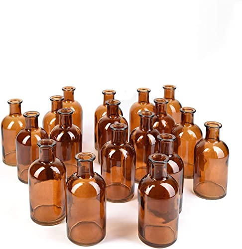Amber, Set of 24