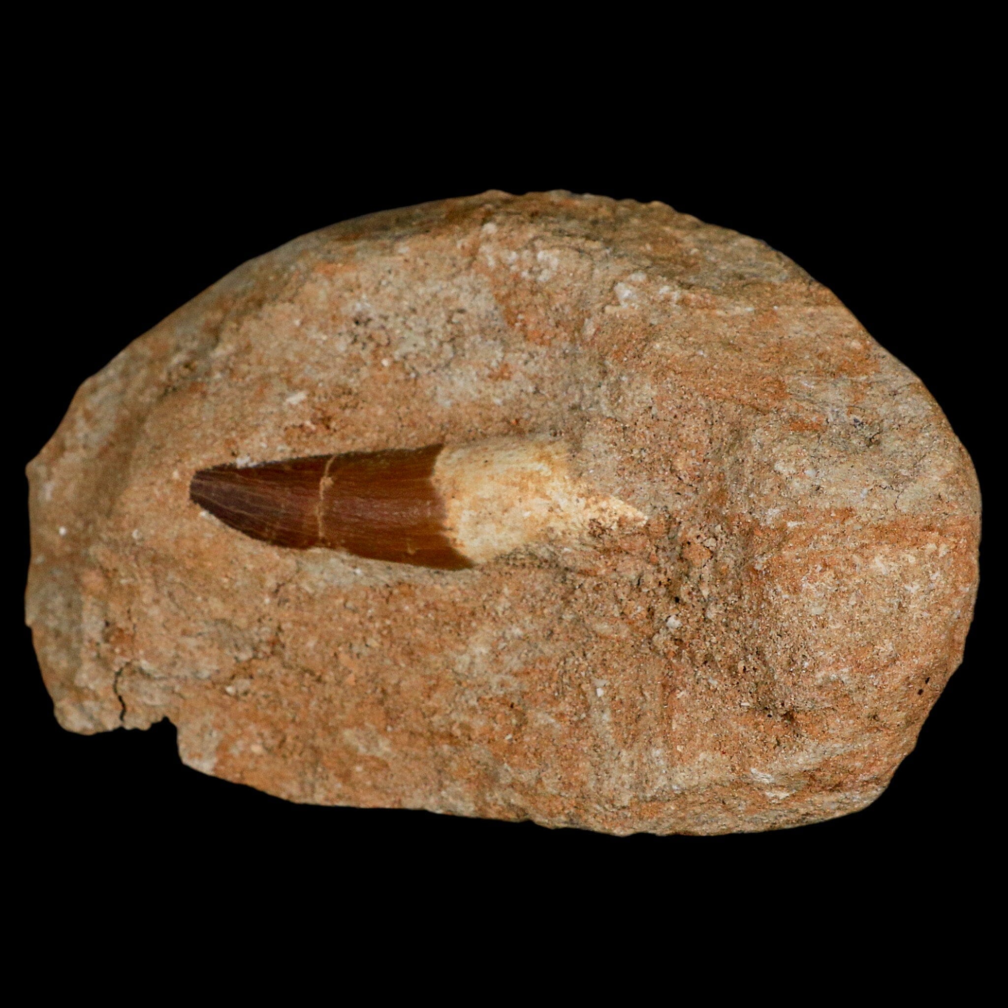 1.7