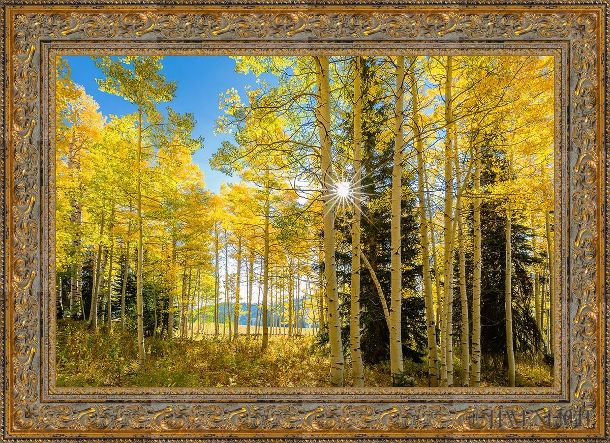 Autumn in the Rocky Mountains - Stunning Fall Foliage at Wasatch National Forest Utah | Perfect for Hiking, Photography & Nature Exploration