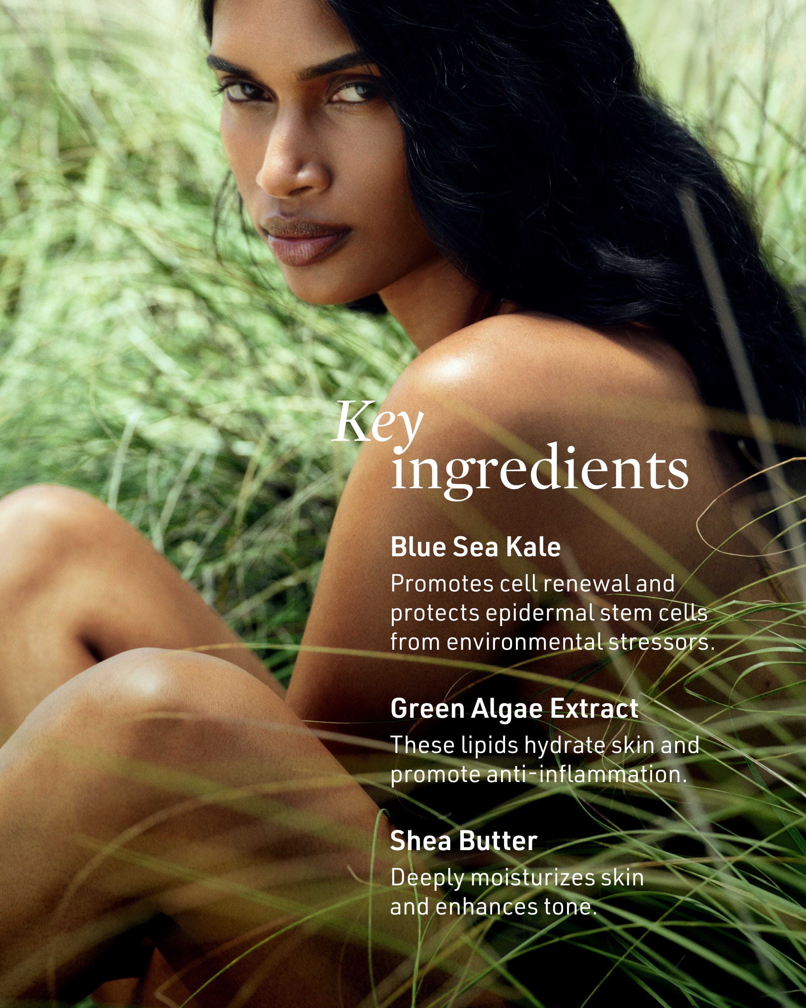 Submerge Green Algae Body Cream - Hydrating & Nourishing Moisturizer for Dry Skin | Anti-Aging & Skin Repair | Perfect for Daily Use & Spa Treatments