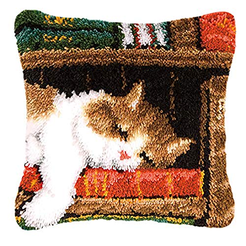 Cat B
