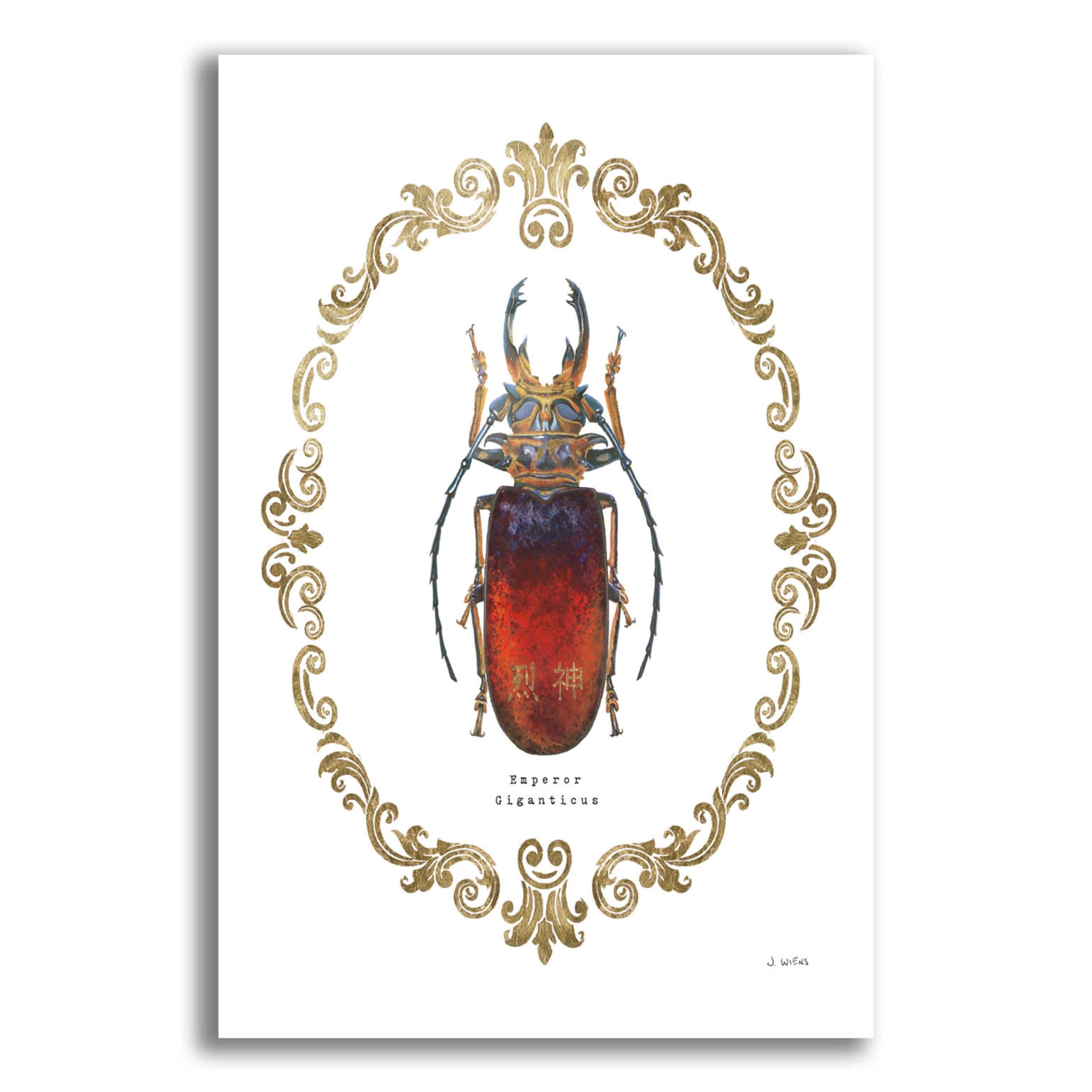 Adorning Coleoptera I by James Wiens - 16x24 Inch Acrylic Glass Wall Art Painting | Modern Home Decor for Living Room, Bedroom & Office