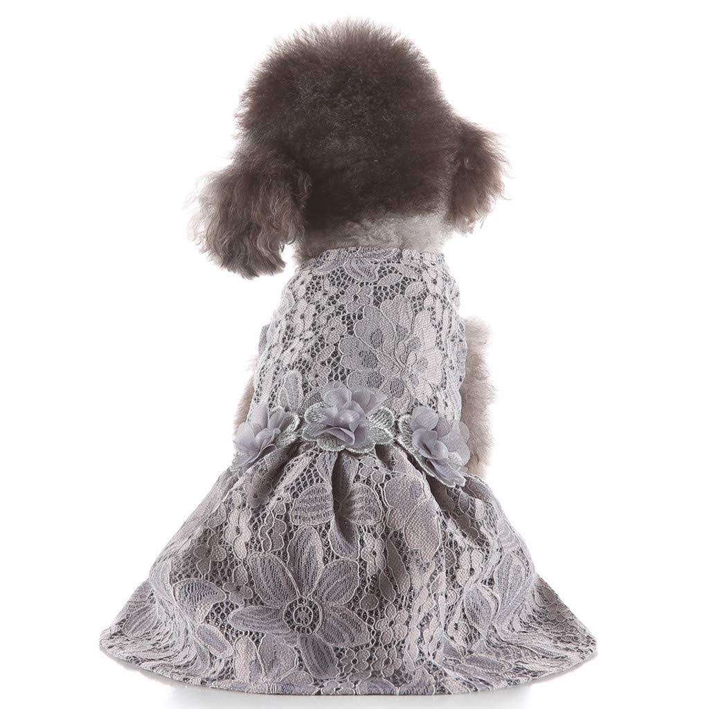 Stylish Spring & Summer Floral Print Dog Dress - Cute Pet Costume for Small Dogs | Perfect for Outdoor Walks, Parties & Photo Shoots