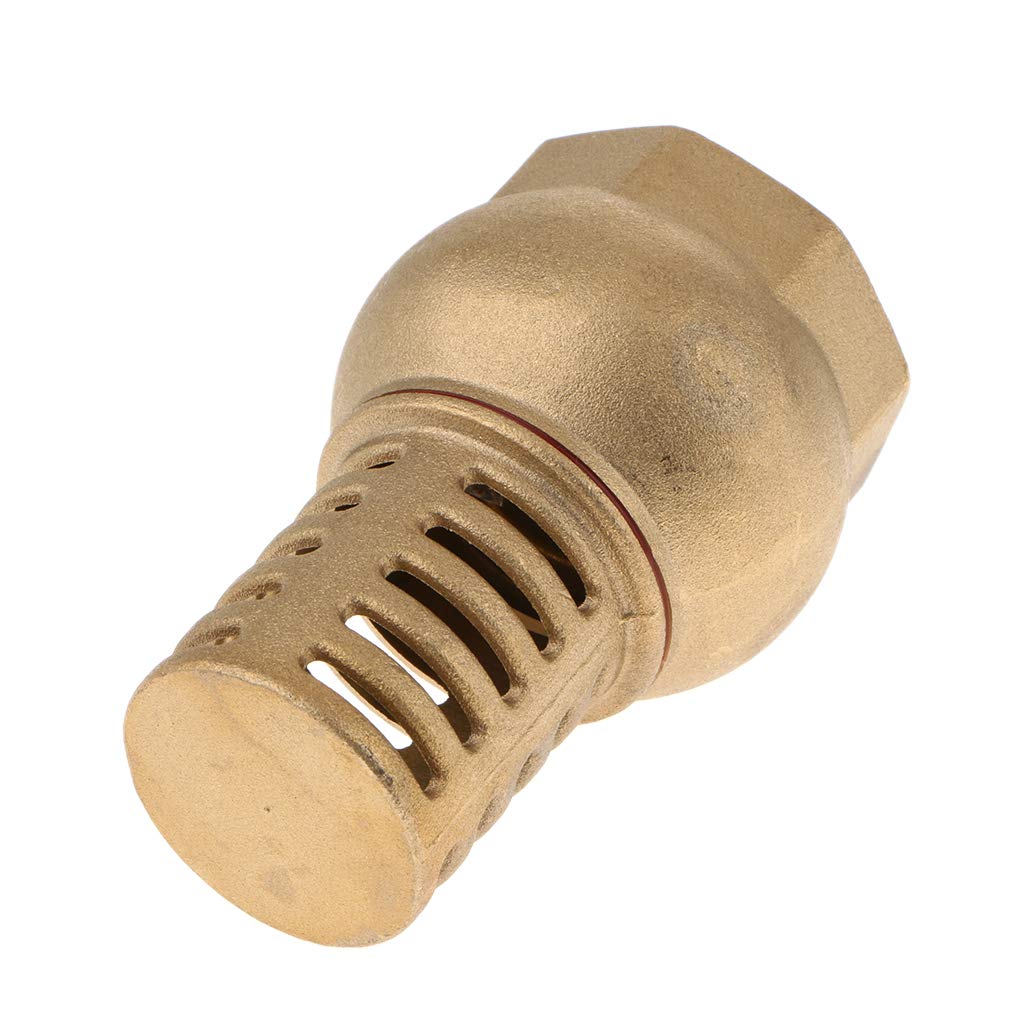 Baoblaze Female Thread Foot Valve Bottom Valve - DN32 Brass Water Pump Valve for Home, Garden, and Industrial Use