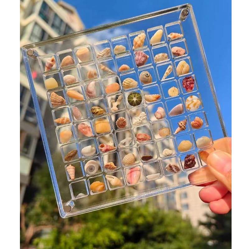 Acrylic Magnetic Seashell Display Box - 64 Grid Transparent Collectible Storage Case for Shells, Starfish & DIY Crafts | Perfect for Beach Decor, Home Display & Gift Organization